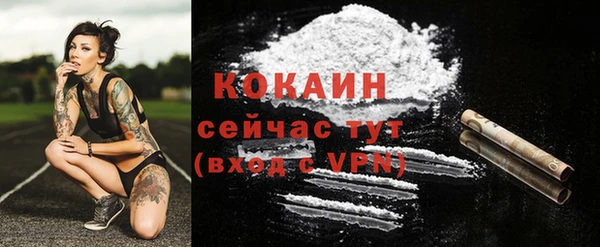 дурь Нея