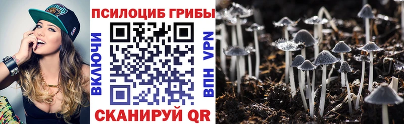 даркнет сайт  Калининец  Псилоцибиновые грибы Magic Shrooms 